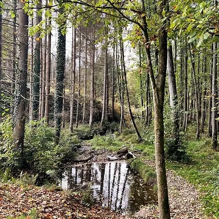 Forest Retreat- Serene 160M2 With Forest Views Wermelskirchen Exterior foto