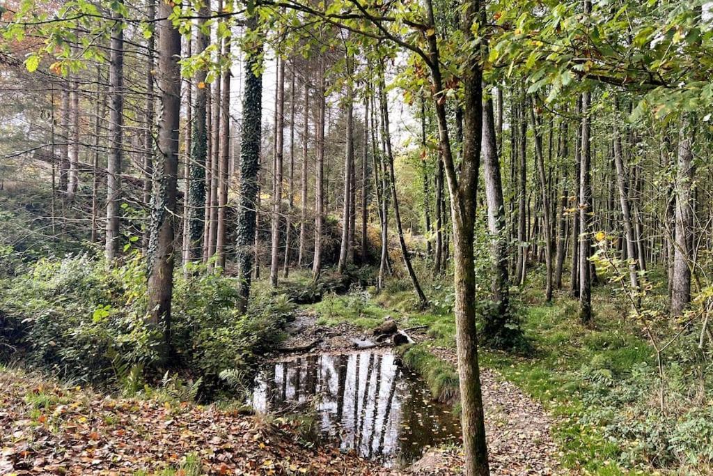 Apartment Forest Retreat- Serene 160m2 With Forest Views