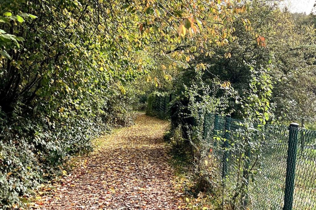 Forest Retreat- Serene 160m2 With Forest Views Apartment Wermelskirchen