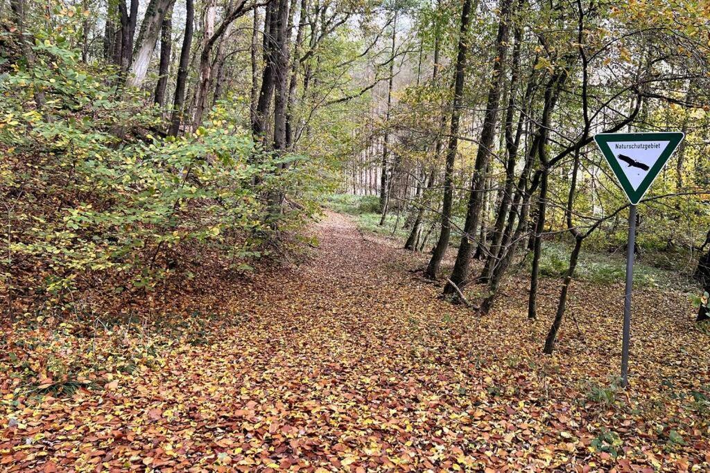 Apartment Forest Retreat- Serene 160m2 With Forest Views Wermelskirchen